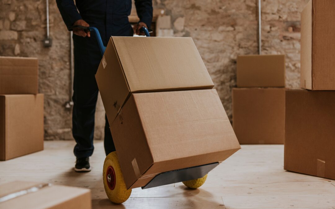 Top Movers Company: Your Trusted Partner for Stress-Free Relocation in Auckland and Beyond