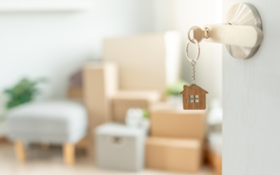The Best Local Movers in Auckland: Affordable & Stress-Free Moving with Burly Boys Moving