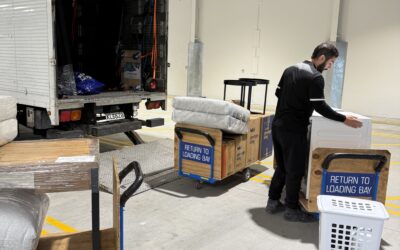20 Essential House Moving Tips for a Stress-Free Relocation in Auckland